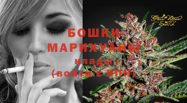 гидра Алексин